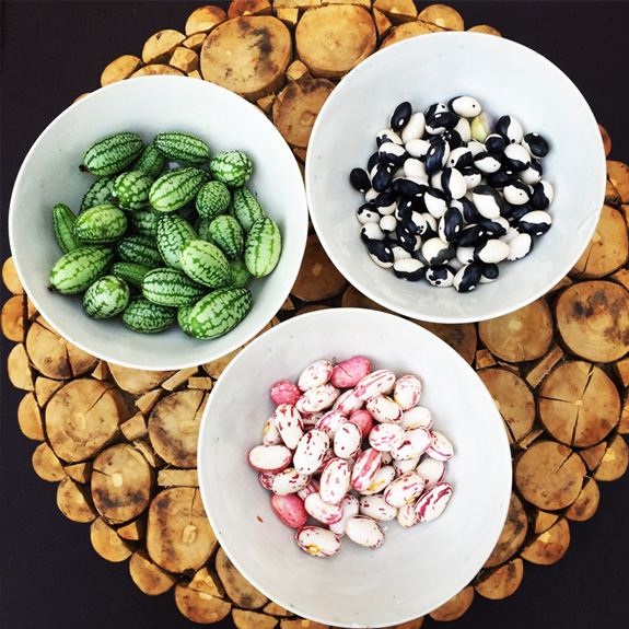 Haricots Borlotto, Ying-Yang, Pastèques miniatures