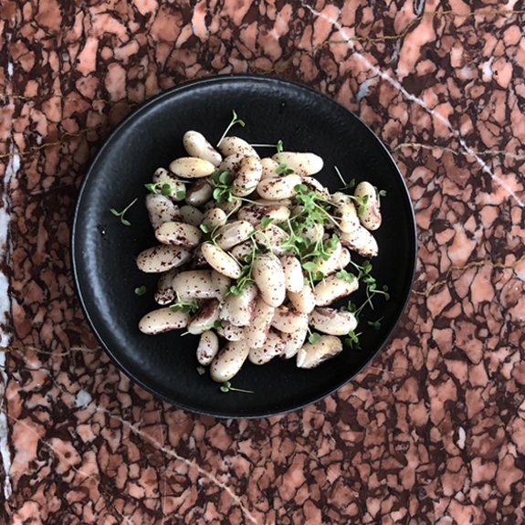 Salade de Haricots Saint esprit bios, pousses de graines germées de roquettes et sumac
