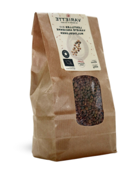Lentilles multicolores BIOS – SEC