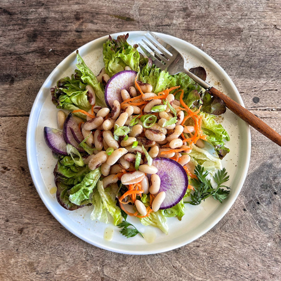 SALADE DE HARICOTS SAINT ESPRIT BIOS VARIETTE