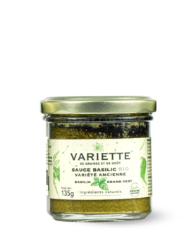 Sauce basilic Bio variété Grand Vert