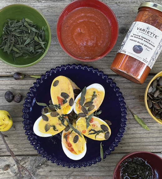OEUFS MAYONNAISE ET SAUCE TOMATE ANCIENNE BIO INDIGO BLUE BEAUTY VARIETTE